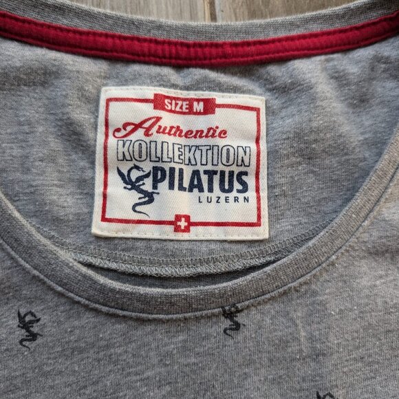 Pilatus Luzern Youth's Gray Graphic T-Shirt Size M Swiss Flag Dragon Print - Picture 2 of 8